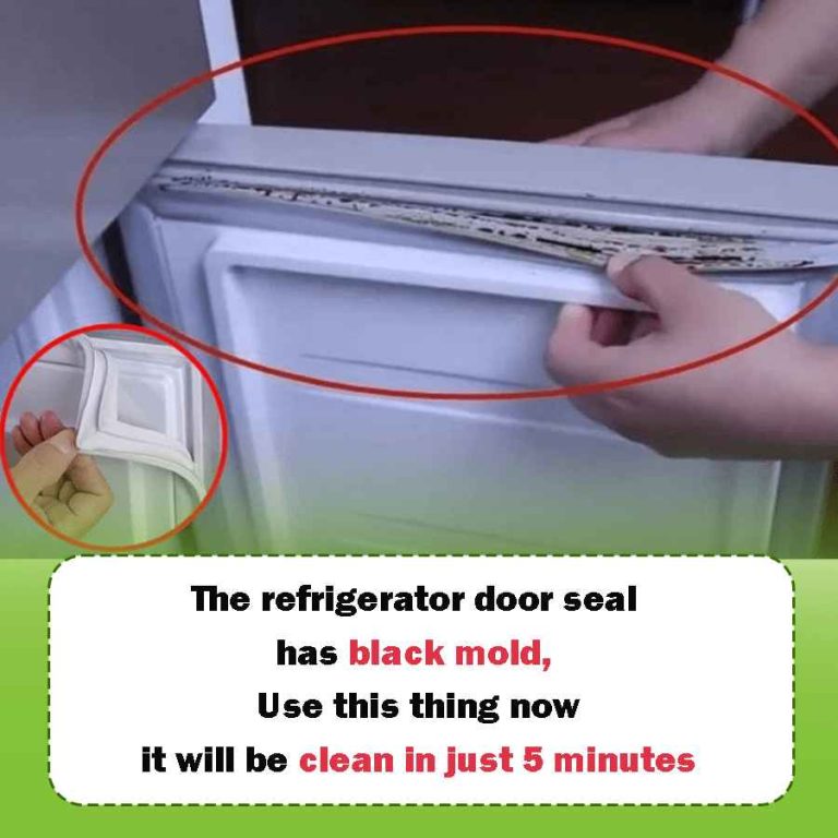Tips for Cleaning the Seal on Your Refrigerator Door LaptopsVilla