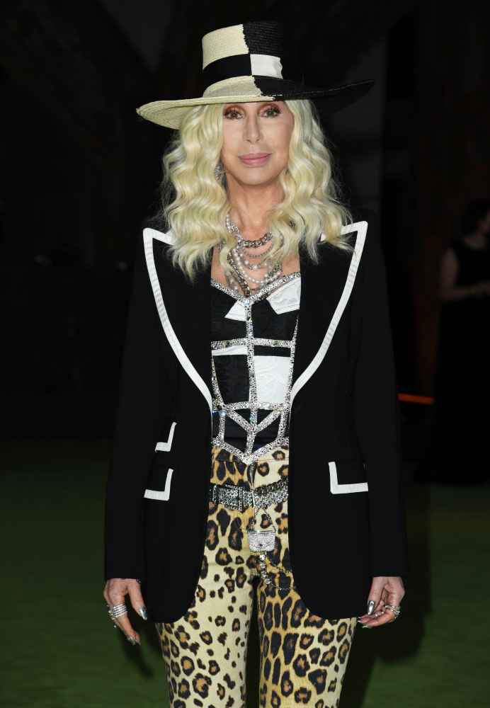 Criticism Aimed at Cher for Being “Over the Hill” Due to Revealing ...